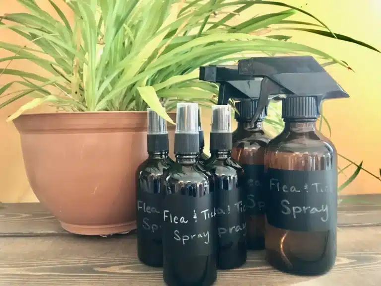 Flea and Tick Spray