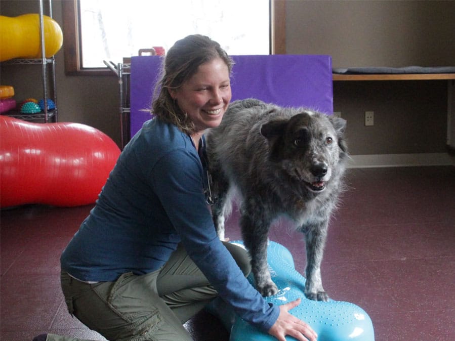 Veterinary Rehabilitation Therapy