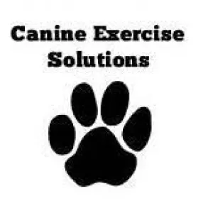 Canine Exercise program