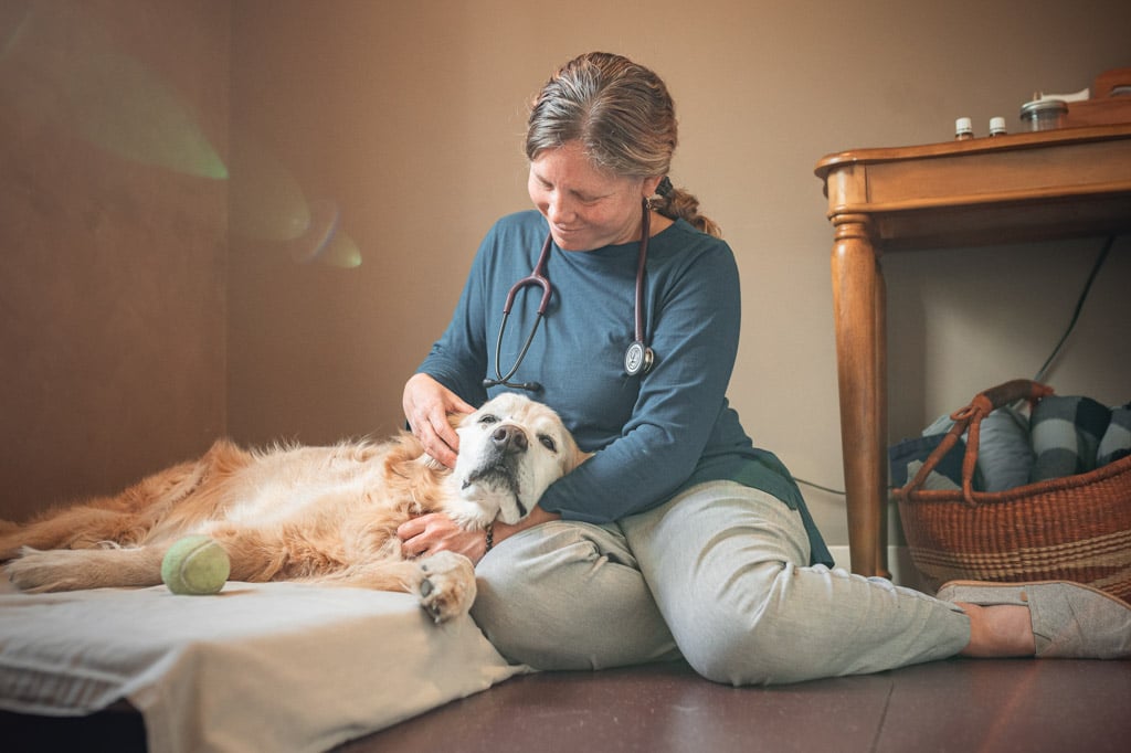 Massage and Craniosacral Dr. Heather McEvoy providing Massage, Myofascial and Craniosacral Therapy