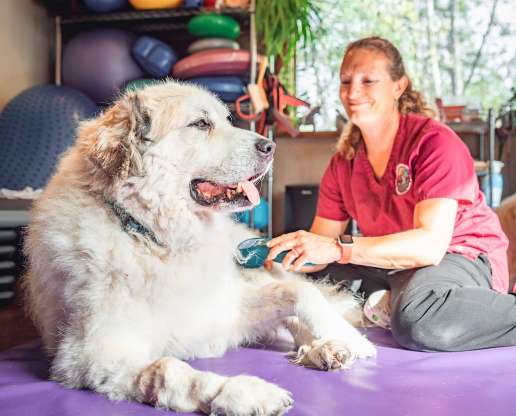 Low Level Laser Therapy