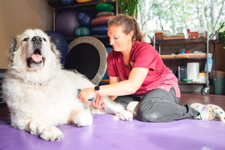 Low Level Laser Therapy