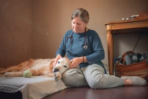 Massage, Myofascial and Craniosacral Therapy