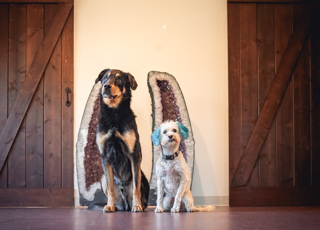 Stone and Crystal Medicine Variety of patients