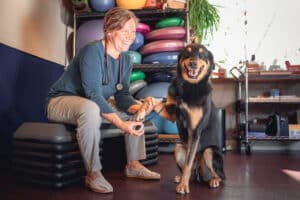 Pulsed Electromagnetic Therapy