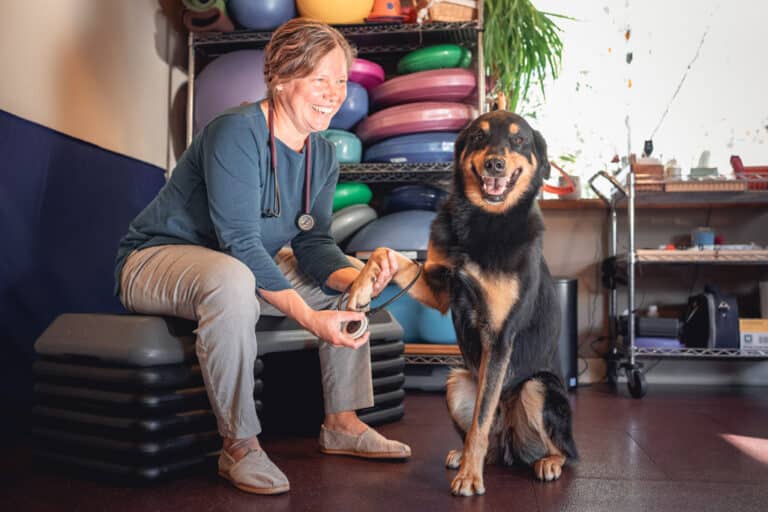 Pulsed Electromagnetic Therapy