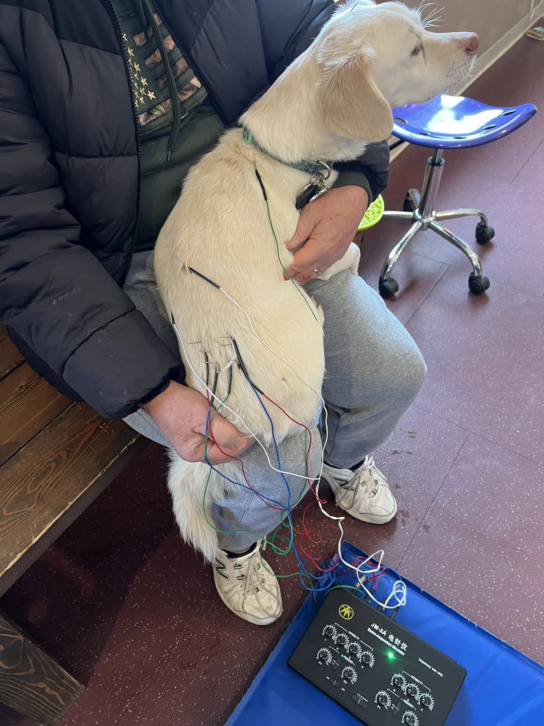 Luyi getting treatment