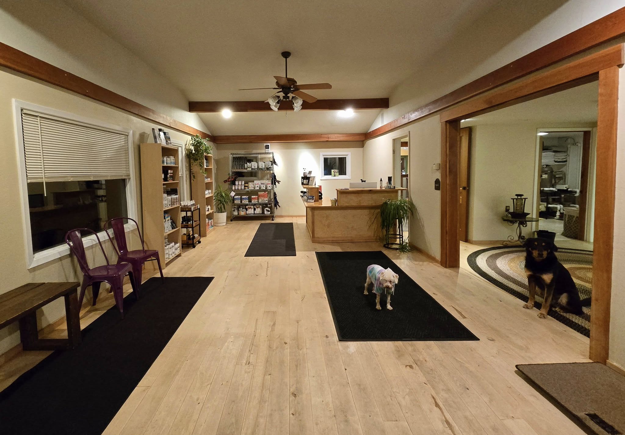 Expansion at Flathead Veterinary Wellness & Rehabilitation Center